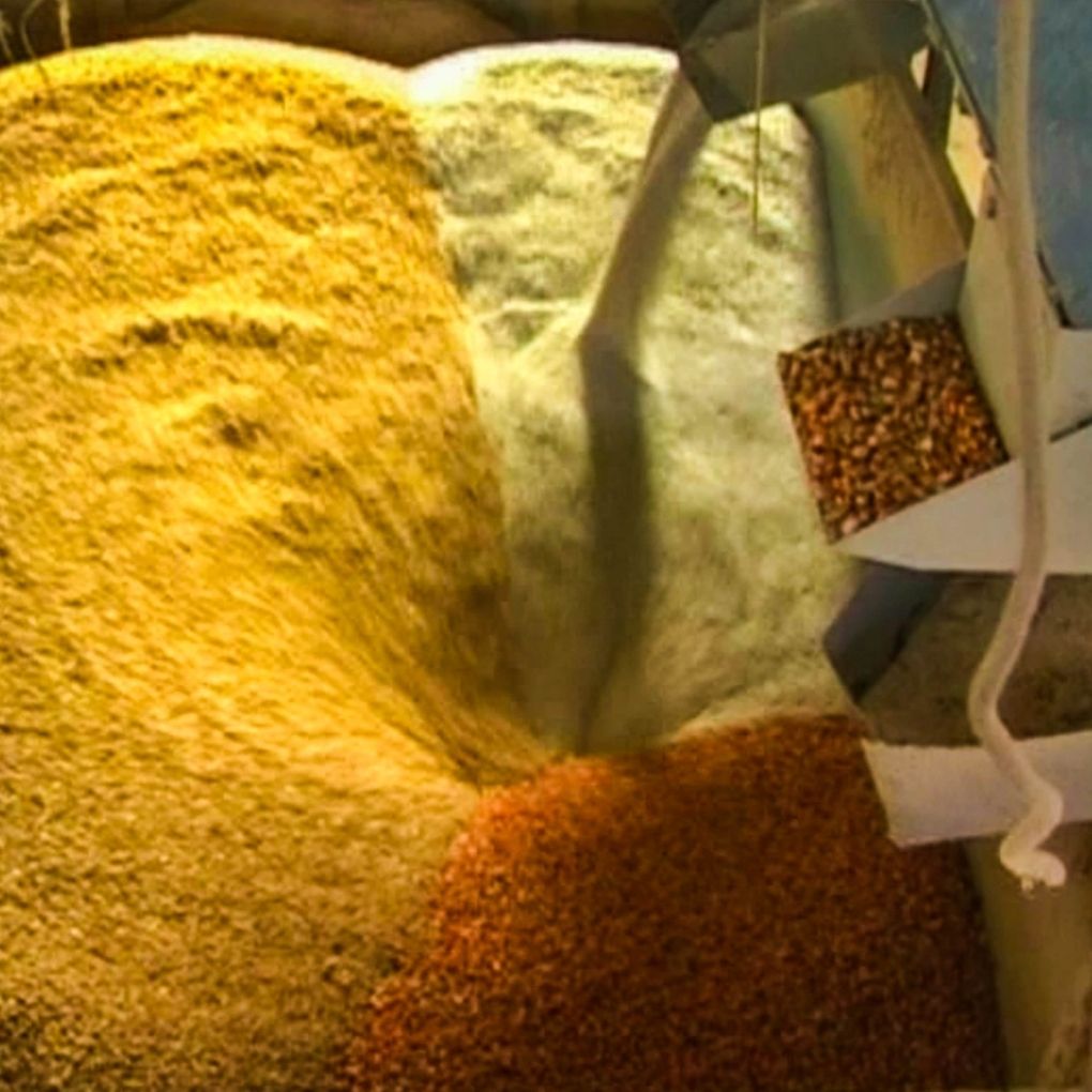 raw feed materials in feed mill for poultry