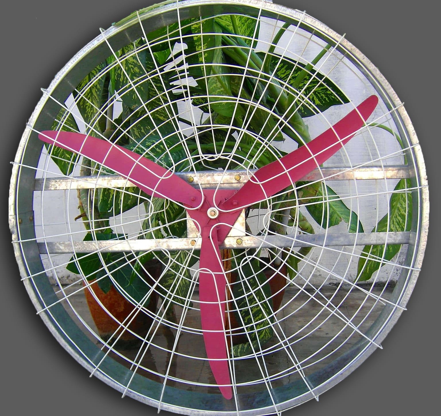 poultry farm fan for chicken